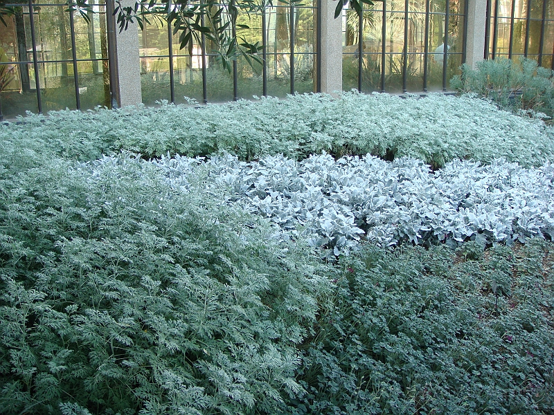 406 Longwood Gardens [2008 August 23].JPG - Longwood Gardens in Pennsylvania